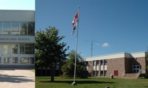 Colonel Gray High School